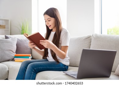 Profile Photo Of Little Pretty Pupil School Lady Prepared Laptop Wait Online Lesson Repeat Book Story Material Plot Check Herself Sit Sofa Distance Quarantine Study Comfort Room Indoors