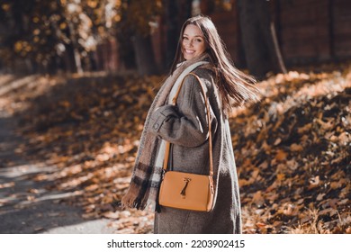 Profile photo of optimistic brown hairdo millennial lady walk in park wear coat scarf bag at the street in autumn - Powered by Shutterstock