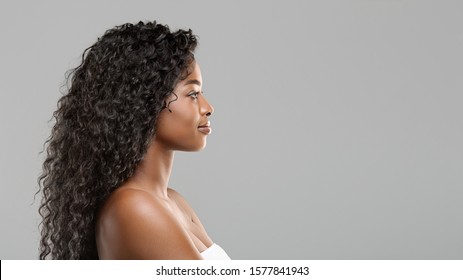 Profile portrait of attractive african american woman with perfect skin and thick curly hair, panorama with copy space