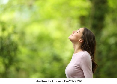 Profile of a relaxed woman breathing fresh air in a green forest - Shutterstock ID 1962372739