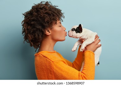 Profile shot of pleased dark skinned female kisses small french bulldog, expresses love to favourite pet, wears casual orange jumper, poses against blue background. Little dog in hands of master