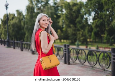 Profile Side Photo Of Mature Attractive Asian Woman Happy Positive Smile Hold Bag Walk City Center Outdoors