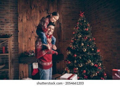 Profile side photo of small girl sit daddy shoulders have fun happy positive smile christmas xmas holiday spirit indoors - Powered by Shutterstock