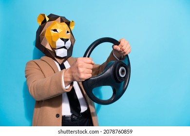 Profile Side Photo Of Weird Anonym Guy In Lion Mask Ride Steering Wheel Car Go Theme Event Isolated Over Blue Color Background