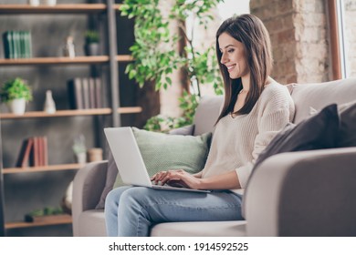 Profile side photo of young brunette woman sit sofa good mood use laptop work home inside house indoors