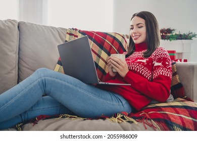 Profile side photo of young lady drink hot latte caffeine watch movie laptop winter holiday sit couch indoors - Powered by Shutterstock