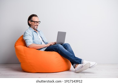 Profile Side View Of Handsome Clever Cheerful Mature Man Sitting On Bean Chair Using Laptop Isolated Over Grey Pastel Color Background