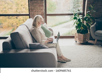 Profile Side View Of Nice Attractive Peaceful Focused Gray-haired Lady Sitting On Divan Writing Email Browsing Information Online Doctor Consultation Industrial Brick Loft Modern Style Interior House