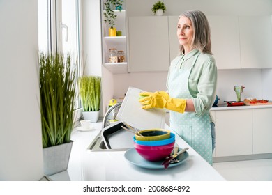 Profile side view portrait of attractive dreamy grey-haired woman doing dishes dishwash duty at home light white indoor - Powered by Shutterstock