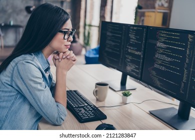Profile side view portrait of attractive focused girl geek research database css linux intranet network at workplace workstation indoors