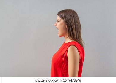 Profile Side View Portrait Of Crazy Wild Aggressive Brunette Young Woman In Red Shirt Standing, Looking Forward And Screaming Or Yelling. Indoor, Studio Shot, Isolated On Gray Background.