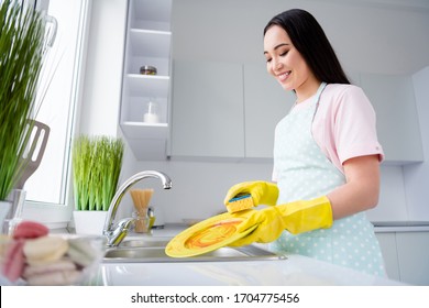 Profile side view portrait of her she nice attractive cheerful cheery girl washer cleansing plates cleanup hygiene everyday routine in modern white light interior style kitchen - Powered by Shutterstock