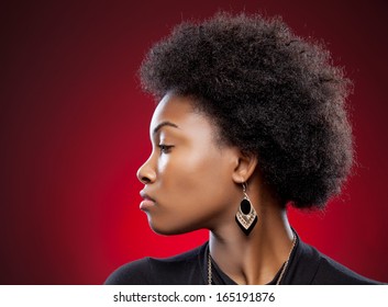 Profile View Of A Black Beauty With Afro Hairstyle