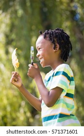 Profile View Of Boy Looking At Leaf Through Magnifying Glass In Park