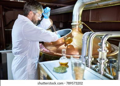 Profile view of talented middle-aged brewer wearing white coat and protective gloves controlling process of beer fermentation while working at modern beer factory