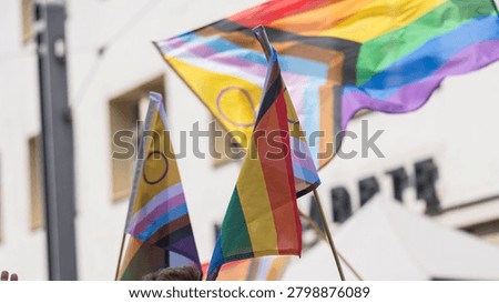 Progress Pride and nonbinary flags waving during CSD demonstration