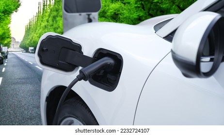Progressive green city ESG green trees background with electric vehicle, EV car recharge energy at the charging point to increase environmental awareness with renewable energy powered transportation. - Shutterstock ID 2232724107
