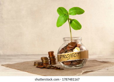 Project. Glass Jar With Coins And A Plant On The Table And Several Coins Nearby. The Concept Of Finance And Investment.