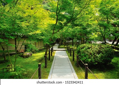 Promenade Of Japanese Garden In Kyoto