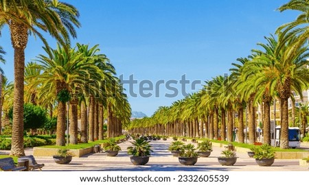 Promenade view with palm trees in Salou, Catalonia, Spain, Europe