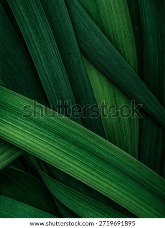 with prominent parallel venation and dynamic overlapping composition. Fresh natural texture for sustainability concepts, eco-friendly banners, spa wellness, and modern environmental design.