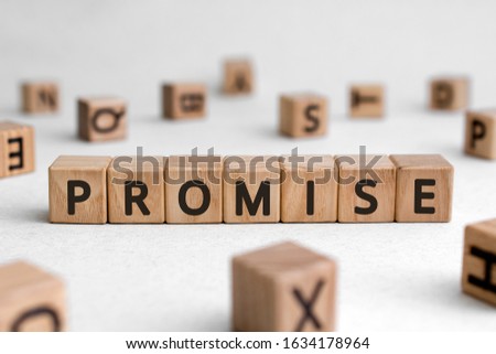 Promise - words from wooden blocks with letters, assurance swear promise concept, white background