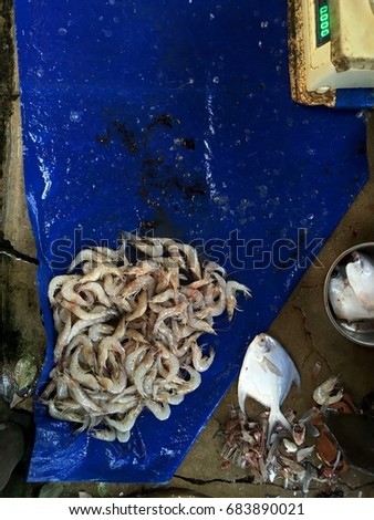 The pron fish piled for sell in a market