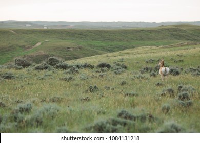 163 Gillette wyoming Images, Stock Photos & Vectors | Shutterstock