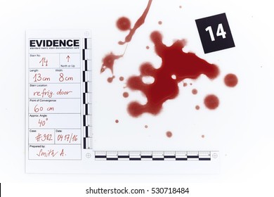 Proper documentation of blood stains on place of crime
