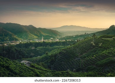 Prosecco Hills, vineyards and Guia village at sunrise. Unesco Site. Valdobbiadene, Treviso, Veneto, Italy, Europe. - Powered by Shutterstock