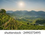 Prosecco Hills, vineyards panoramic landscape in the morning. Unesco World Heritage Site. Valdobbiadene, Treviso province, Veneto region, Italy, Europe.