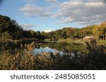 prospect park brooklyn with lake view