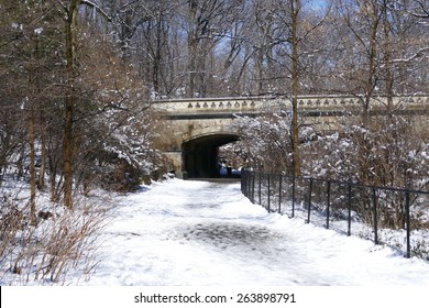 Prospect Park, Brooklyn In The Snow