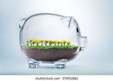 Wohlstandskonzept mit Gras und Blumen, die innerhalb eines transparenten Schweinebaums wachsen