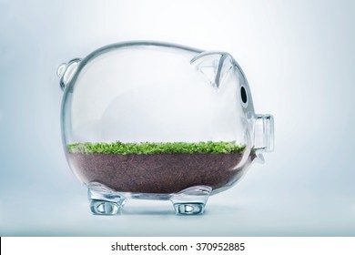 Prosperity Concept With Grass Growing Inside Transparent Piggy Bank