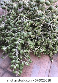 Aroonlak-Laohapan Adlı Katılımcının Stok Fotoğraf ve Görsel Portföyü