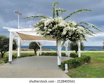 Protaras. Famagusta region. Cyprus. Bougainvillea, a tree with white flowers among green leaves, decorates a canopy for celebrations by the sea.