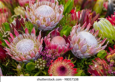 South African Flowers Images, Stock Photos & Vectors | Shutterstock
