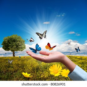 Protect environment concept with flower and butterfly