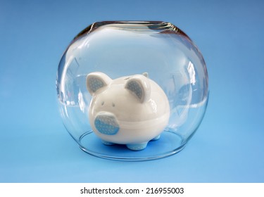 Protect Your Money, Fish Bowl Covering A Piggy Bank Concept For Protecting Your Assets, Financial Help, Insurance And Investment