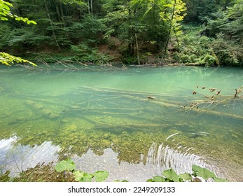 Protected landscape of the small river Kamacnik in Gorski kotar - Vrbovsko, Croatia (Zaštićeni krajolik rječice Kamačnik u Gorskom kotaru - Vrbovsko, Hrvatska)