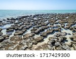 protected marine nature reserve living marine stromatolites