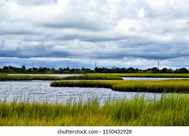 Protected Marshland Cape May, NJ 