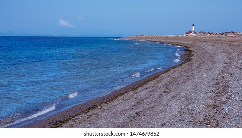 Protected Wildlife Area At Dungeness Spit, WA