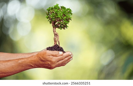

Protecting the environment involves conserving natural resources, reducing pollution, and promoting sustainable practices to ensure a healthy planet for current and future generations.