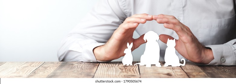 Protecting Hands Over Paper Animals On Wooden Table - Pet Care And Insurance Concept