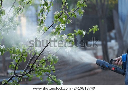 Protection of fruit orchard during flowering from return frosts water spraying. Fragment of a cold fog generator in a woman's hand with a directed spray of aerosol on a flowering apple-tree. 