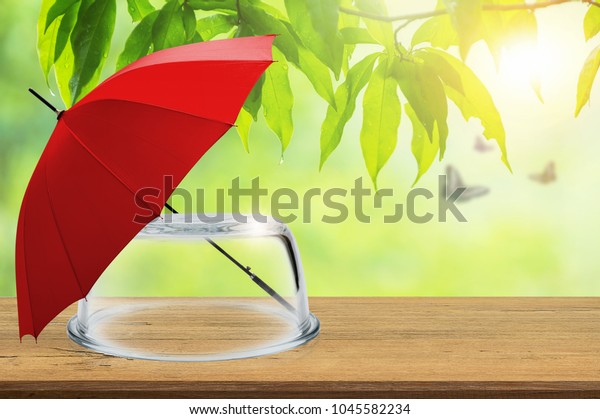 Protection insurance, Empty transparent glass\
dome and red umbrella on wooden floor with blurred natural\
background, Blank space for product display and presentation,\
Concept of\
insurance.