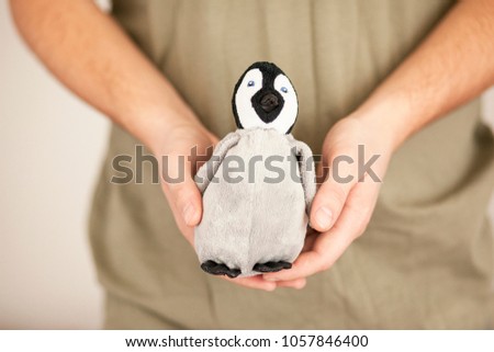 Protection Nature. Male hands, close-up gives, holds protects the symbol, concept, penguin, all animals and mammals. Indifferent people in their palms hands. Irrelevant, frivolous actions in ecosystem