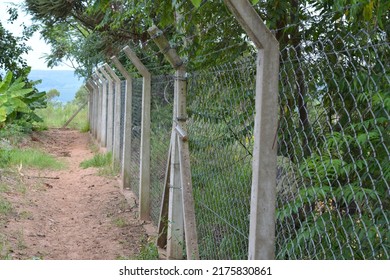 
Protection Screen In Agritourism Farm With Plantation Of Various Types, Panoramic Style Photo, Brazil, South America, Latin America, Nature Background, Panoramic